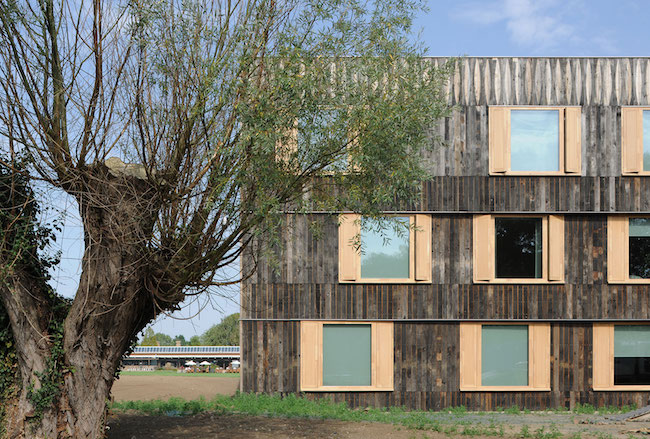 cowan court 6a architects