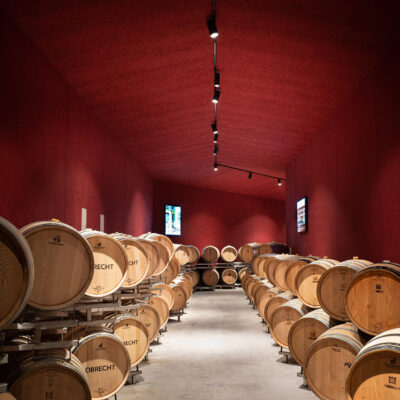 Winery Jenins Bearth & Deplazes barrells store Christian Obrecht